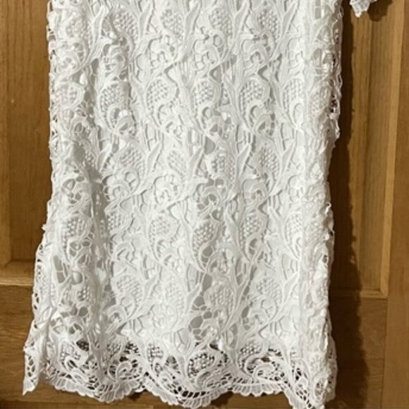 Gray + Bleu White Lace Sheath Mini Dress with Crew Neck and Short Sleeves Large - Picture 4 of 10